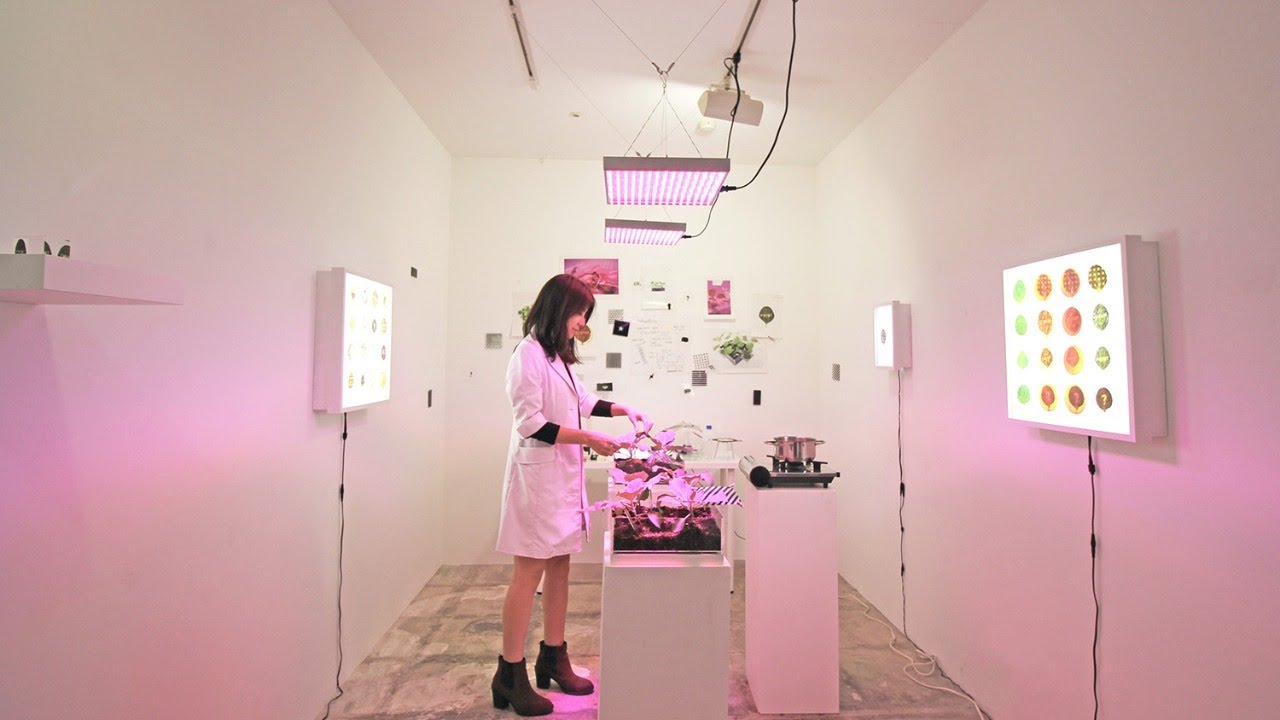 Science Talk: BioArt with Nature