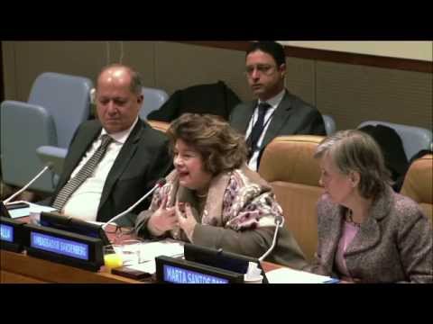 Panel discussion with drafters of the CRC