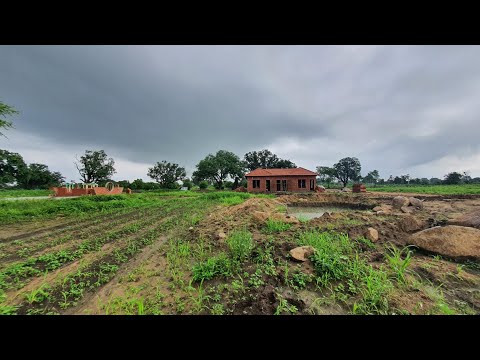 Swimming in Natural Pond @ IKIGAI FARMS - A Sustainable Farm Living Community