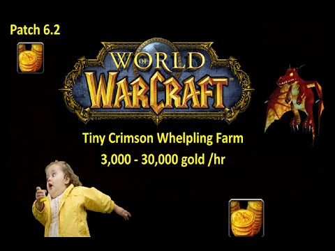 Wow Gold Farm 6.2 (Tiny Crimson Whelpling) Farm 3k - 30k G/hr