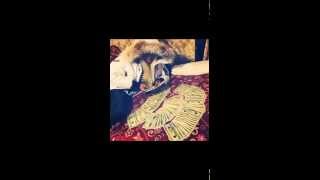 SpaceGhostPurrp - Oh Shit