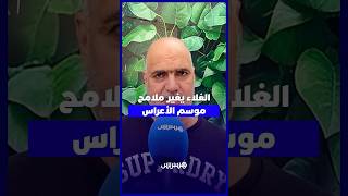 الأعراس بالمغرب بين ارتفاع التكاليف وتغير أولويات الشباب thumbnail