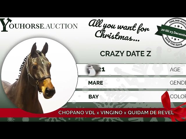 Crazy Date Z under the saddle