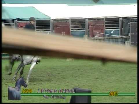 L'Etoile d'Avril, Grande semaine de l'Elevage Fontainebleau 2005