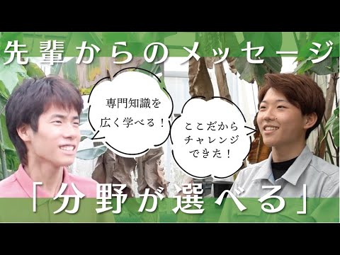 【高校生へ】迷っていてもOK！南九大なら入学後に学ぶ分野を選べる【授業風景＆メッセージ】