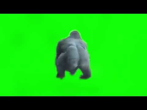 Funny Spinning Monkey Green Screen Free