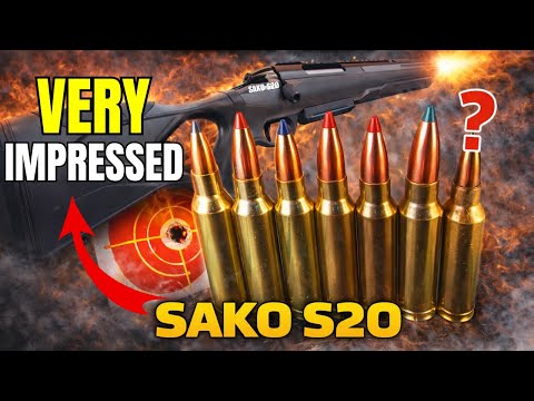 WHOTEEWHO CLIPS and WHO_TEE_WHO