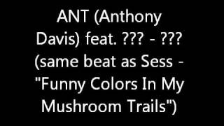 ANT feat. unknown - same beat as Sess - Funny Colors in My Mushroom Trails