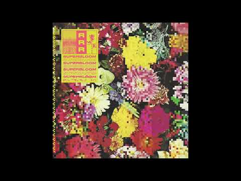 Thumbnail for Ra Ra Riot - An Accident [Audio] by Ra Ra Riot