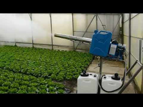 PulsFOG Plant Protection Application in Greenhouse for lettuce