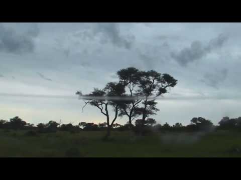 Djuma: Sights and sounds of the afternoon - 17:30 - 02/25/19