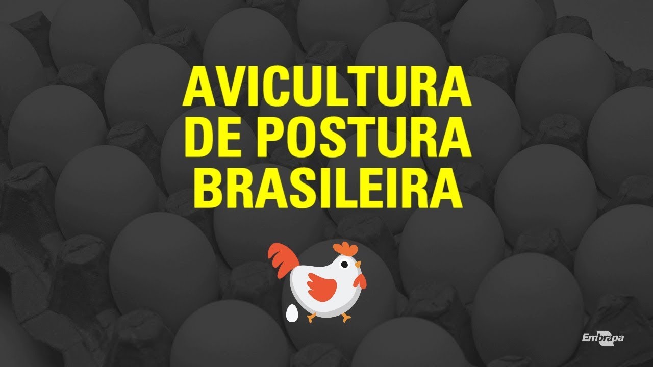 Projeto Boas práticas de produção na postura comercial (BPP-Ovos) Embrapa