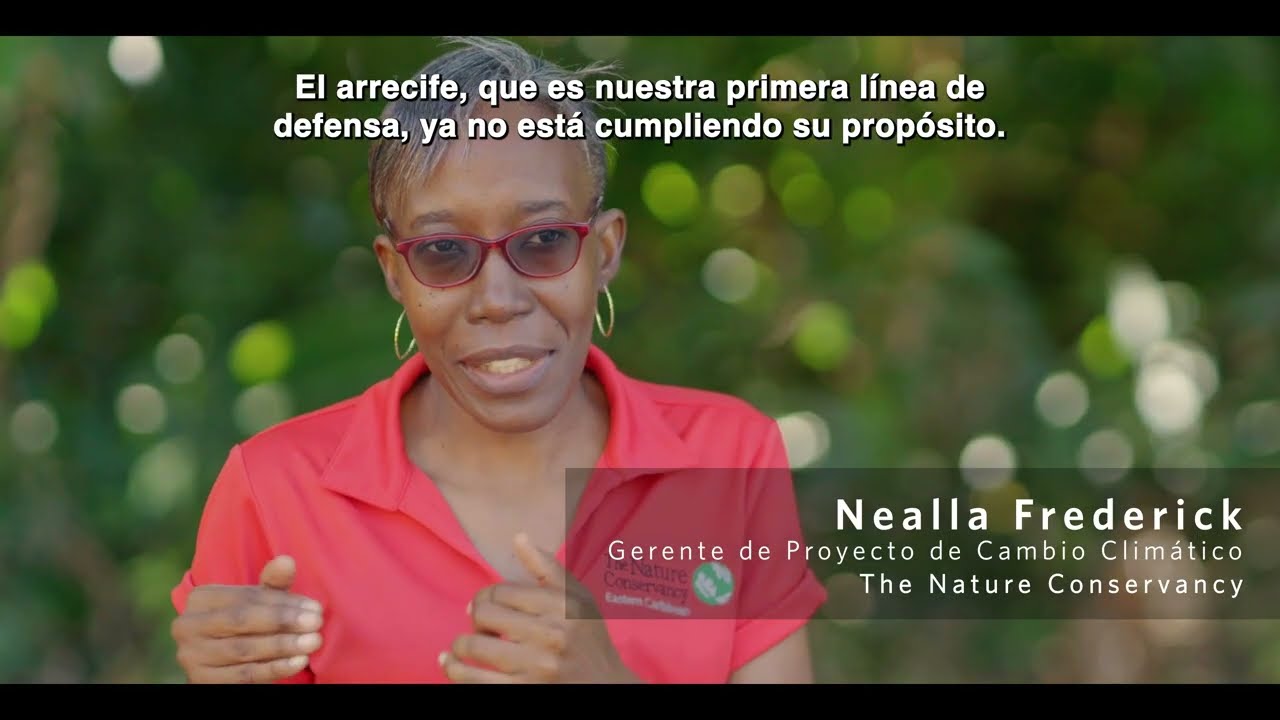 Facilidad pesquera en Granada construida para satisfacer las necesidades de los pescadores