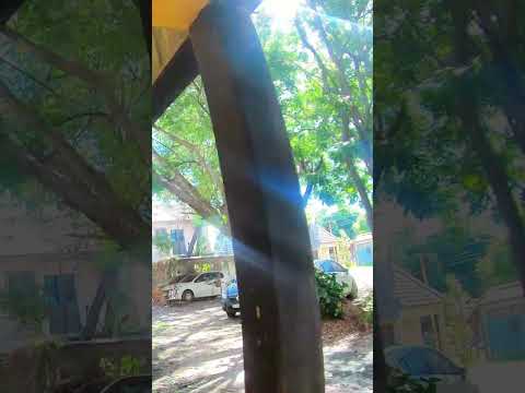 Entré al corazón del San Cayetano y me encontré con esto... 🤯