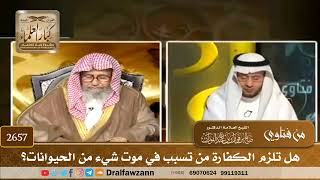 2657   هل تلزم الكفارة من تسبب في موت شيء من الحيوانات؟   الشيخ صالح الفوزان image