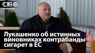 Лукашенко заявил, что литовцы сами организовали поставки сигарет через границу на метеозондах