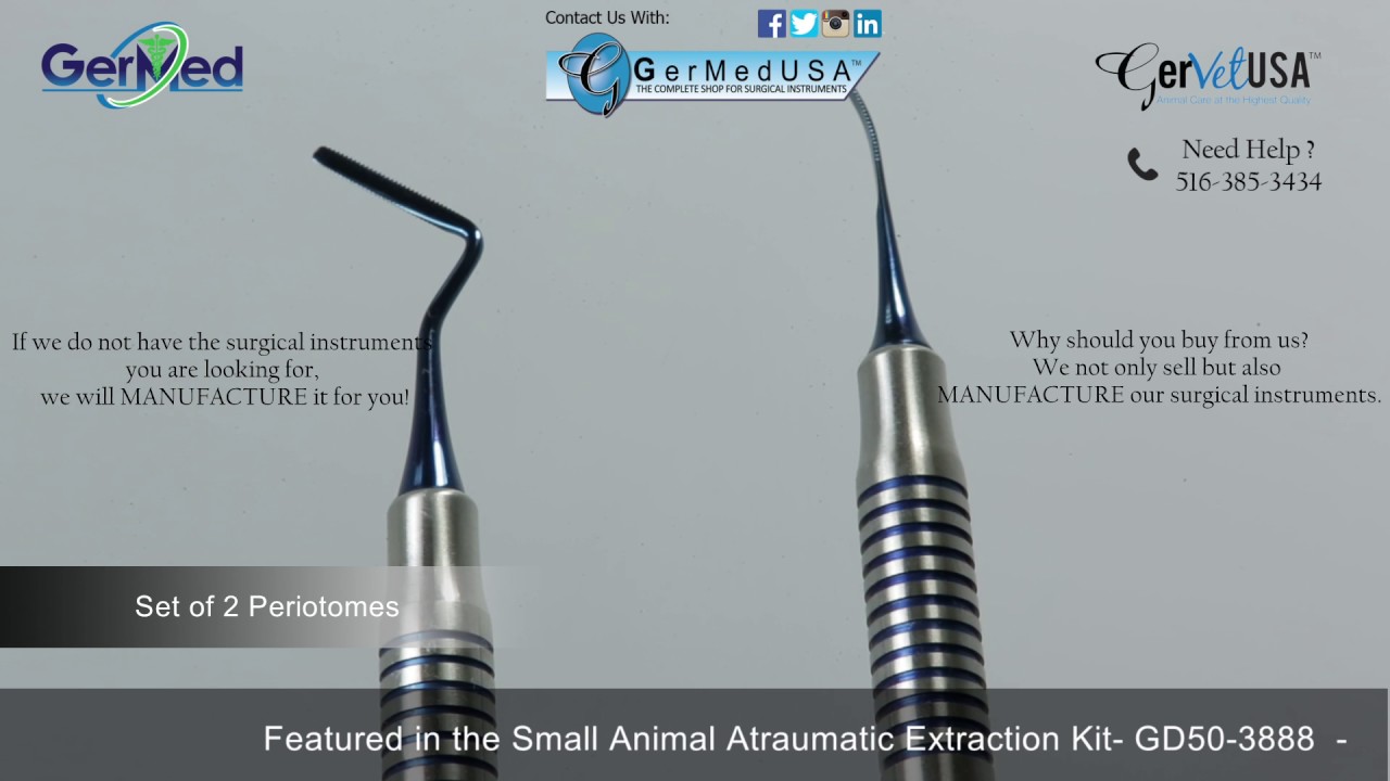 Set of Two Periotomes- GD-1091 - Veterinary Surgical Equipment