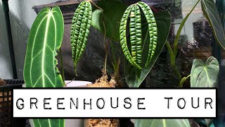 GREENHOUSE TOUR WINTER 2020