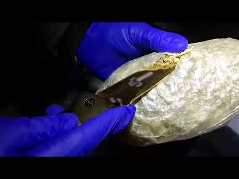 Bitlis’te Yolcu Otobüsünde 4 Kilo 800 Gram Skunk Ele Geçirildi