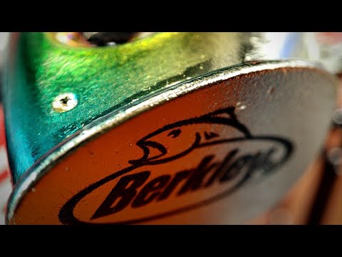 Proven lures for thick, autumn ASP + promotions