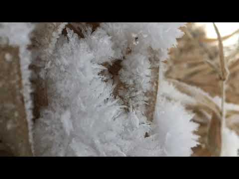 Deepmix Moscow - Gorje Hewek - Cotton Studio: Pellsa