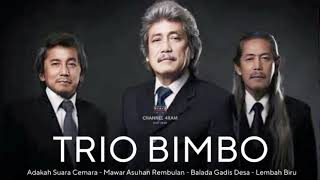 Download lagu TRIO BIMBO, Vol.11 : Adakah Suara Cemara - Mawar Asuhan Rembulan - Balada Gadis Desa - Lembah Biru mp3 Download lagu TRIO BIMBO, Vol.11 : Adakah Suara Cemara - Mawar Asuhan Rembulan - Balada Gadis Desa - Lembah Biru mp3