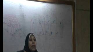 Dr.Nagwa AboElnasr - Stratified Epithelium - 30/11
