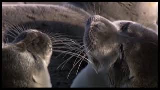 Кто покушается на байкальскую воду