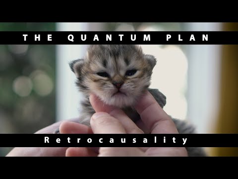Retrocausality - The Quantum Plan EP08