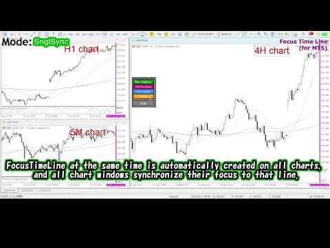 Video Focus Time Line