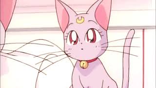 control - doja cat (slowed)