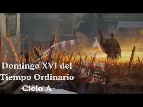 Misa Domingo | 19 de julio 2026 | Basílica Paysandú