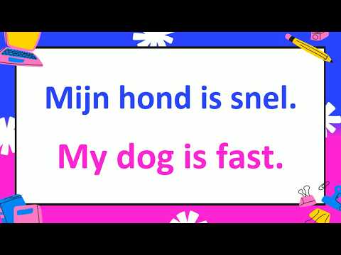 Learn 300+ Basic Dutch Phrases to Master Possessive Adjectives FAST!