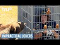Impractical Jokers Sal S Beastly Surprise Punishment TruTV