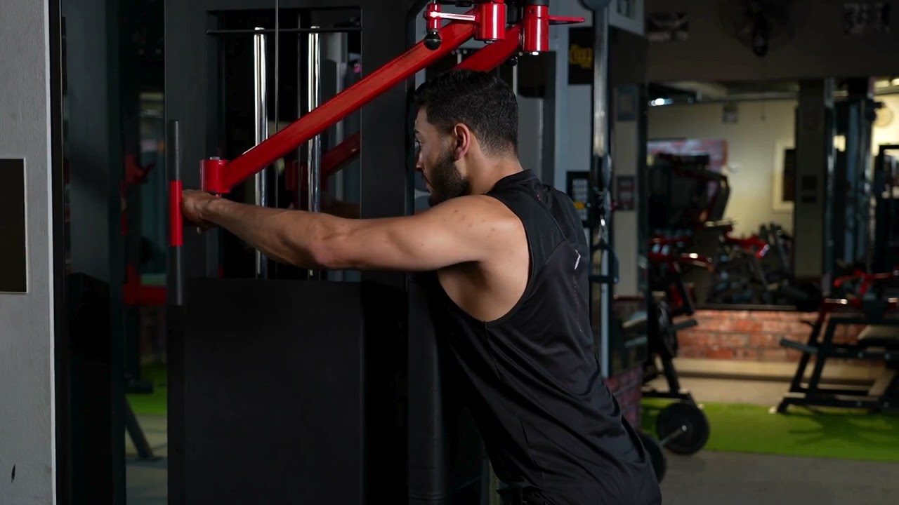 Reverse Pec Deck Machine Pronated Grip exercise