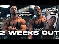 Posing con BRANDON + Empujes y mi físico a 2 semanas | Mauro Fialho IFBB PRO Mens Physique