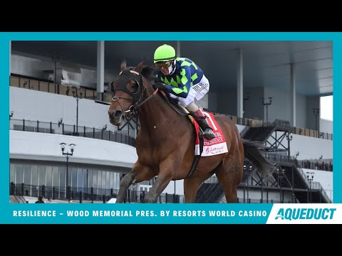 Resilience - 2024 - The Wood Memorial Presented by Resorts World Casino