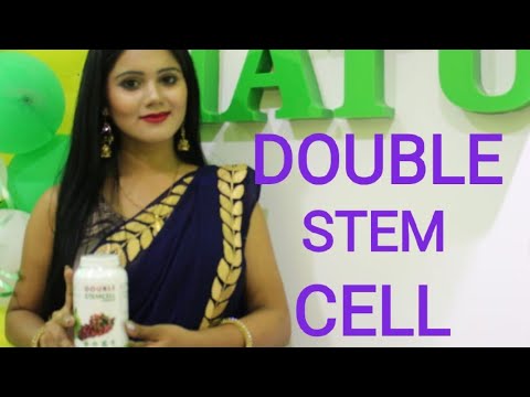 Basics of double stem cell