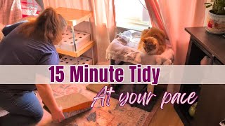 Cleaning Without Pressure | Let’s Spend 15 Minutes Together | Living Room Tidy