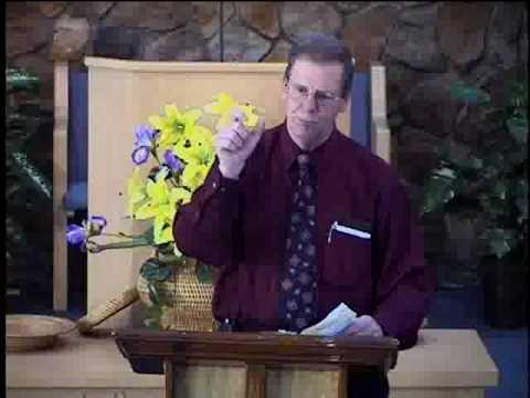 The Angels that Sinned:  Part 9 - How Could Angels Procreate (Part 1)