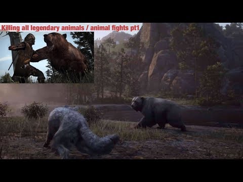 RED DEAD REDEMPTION 2 - KILLING ALL LEGENDARY ANIMALS /ALL ANIMAL FIGHTS PART 1!!!!