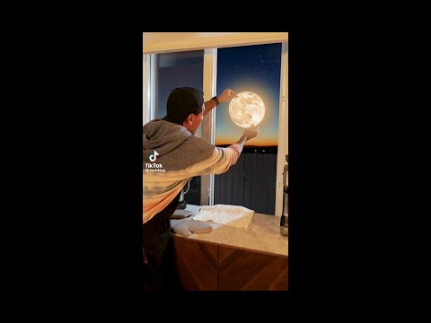 Top new Zach king magic vines compilation 2023