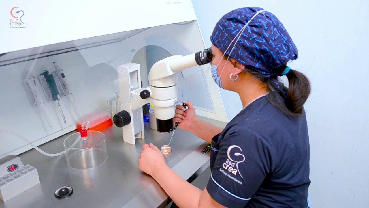 Carlos Guillermo Maquita Nakano-2