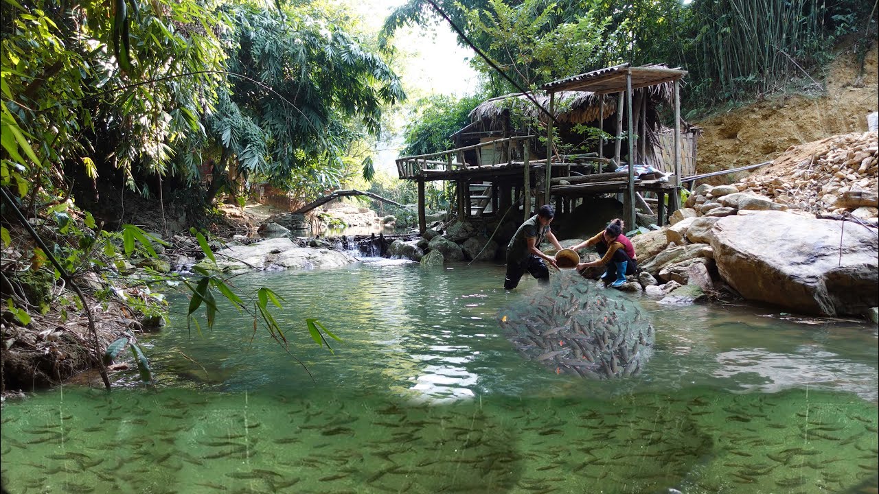 Living off the grid - Ana gardens, Jack builds a pond to raise fish, chickens and ducks