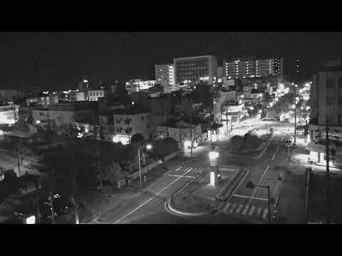 Suzaka Namiki-dori live camera