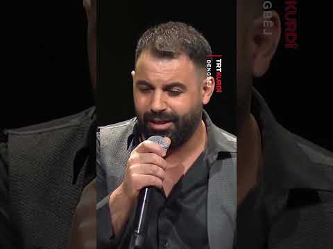 Qulingo - Aryan Serhed