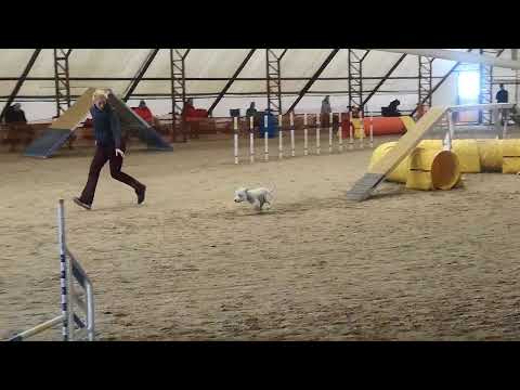 Kraft vizsga Tárnok 2022.04.03. A1 2.futam / III.hely