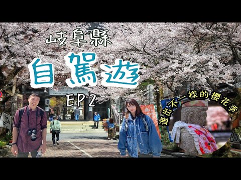 岐阜縣自駕遊第二集｜賞櫻季必去,當地人私藏的西濃賞櫻景點