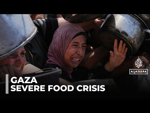 Video — Al Jazeera