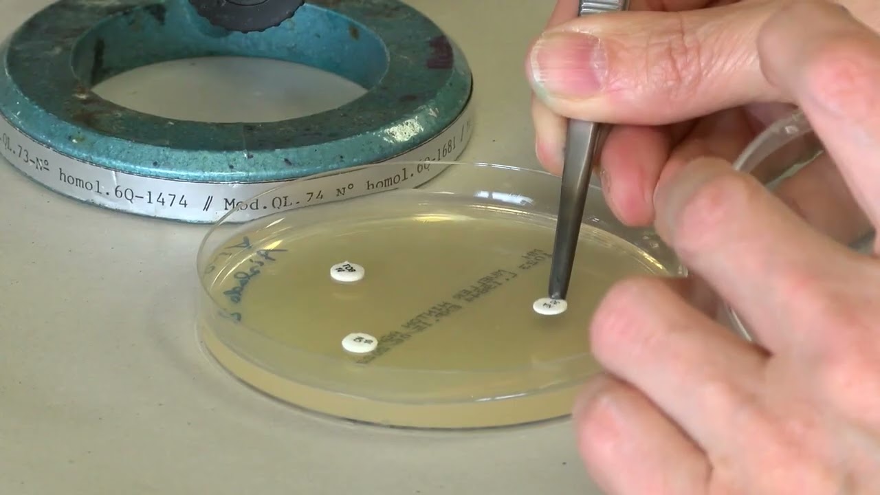 Antibiograma  Método Kirby Bauer